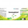 Gemmophytol Gui