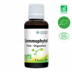 Gemmophytol foie - digestion