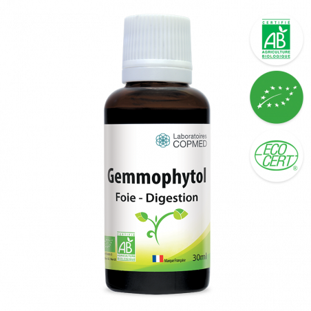 Gemmophytol foie - digestion