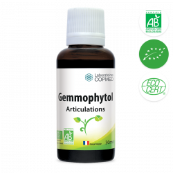 Gemmophytol articulations