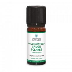 Sauge officinale