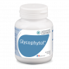 Glycophytol® (Nieuwe formule)