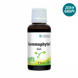 Gemmophytol Gui