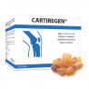 CARTIREGEN® actifs