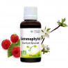 Gemmophytol confort féminin actifs