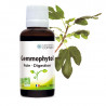 Gemmophytol foie - digestion actifs