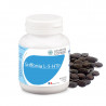 Griffonia L-5-HTP actifs