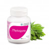 Phytogyne actifs