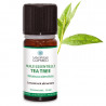 Tea tree actifs