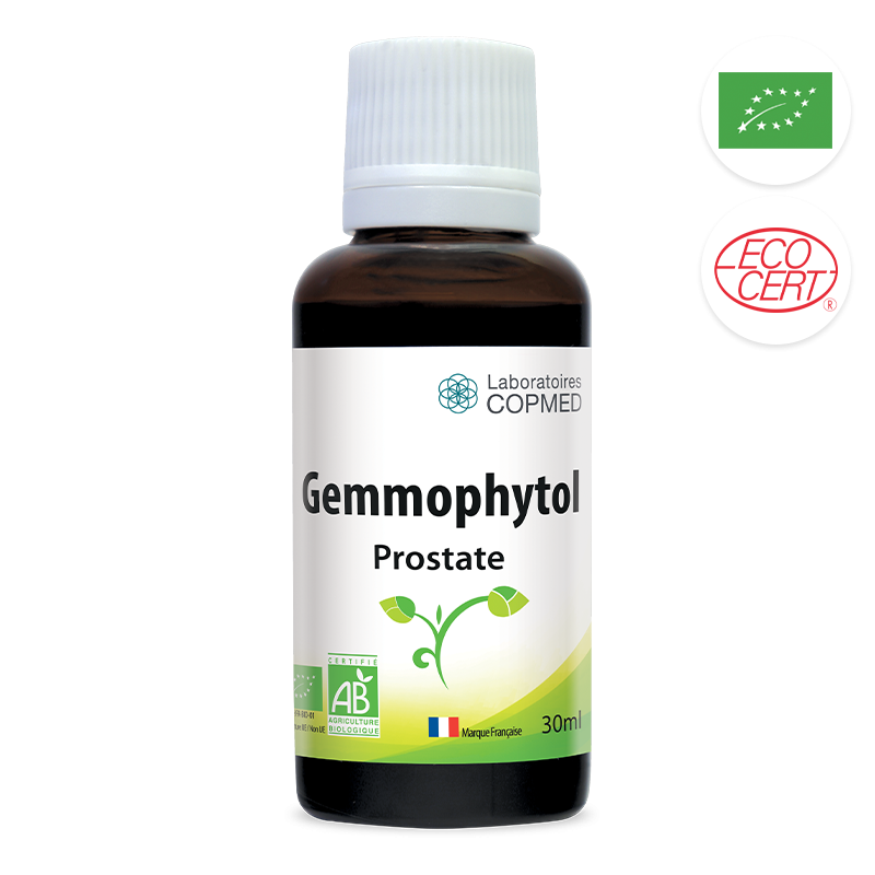 Gemmophytol prostate