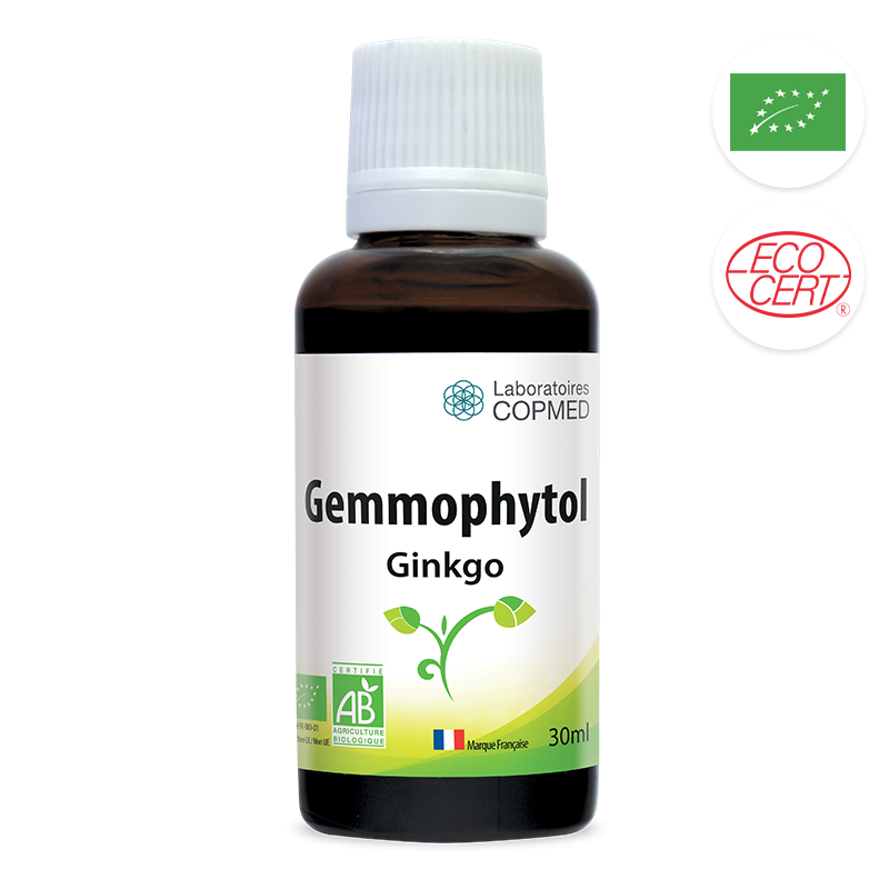 Gemmophytol Ginkgo