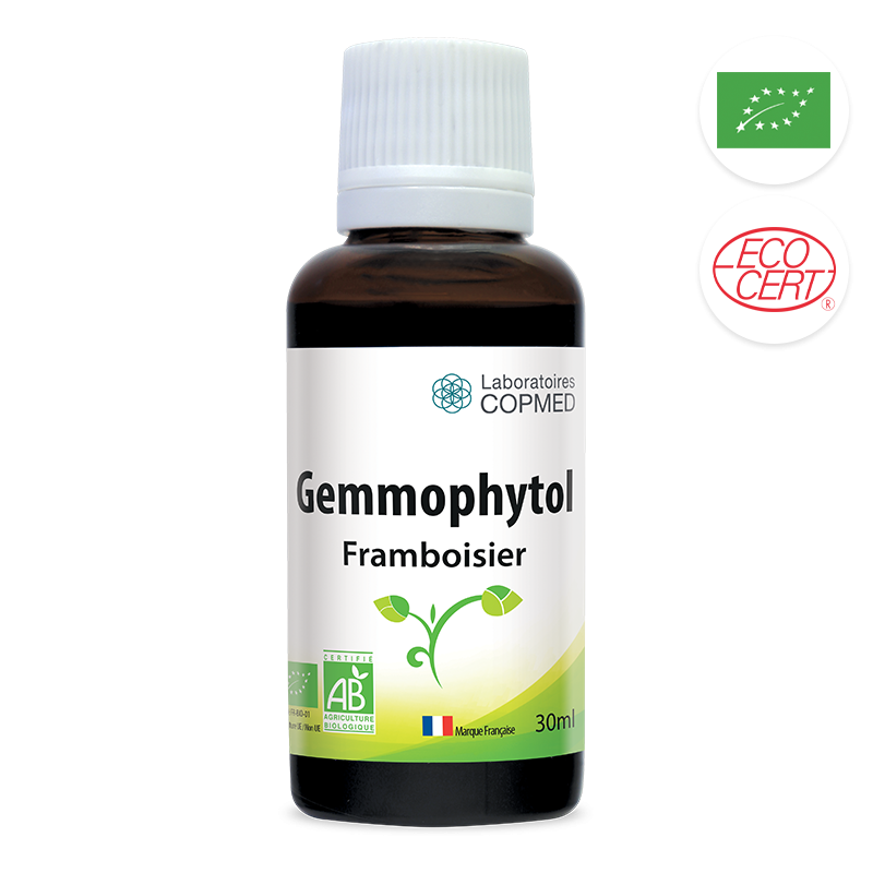 Gemmophytol Framboisier
