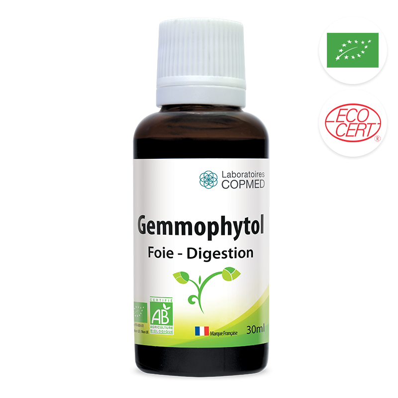 Gemmophytol foie - digestion