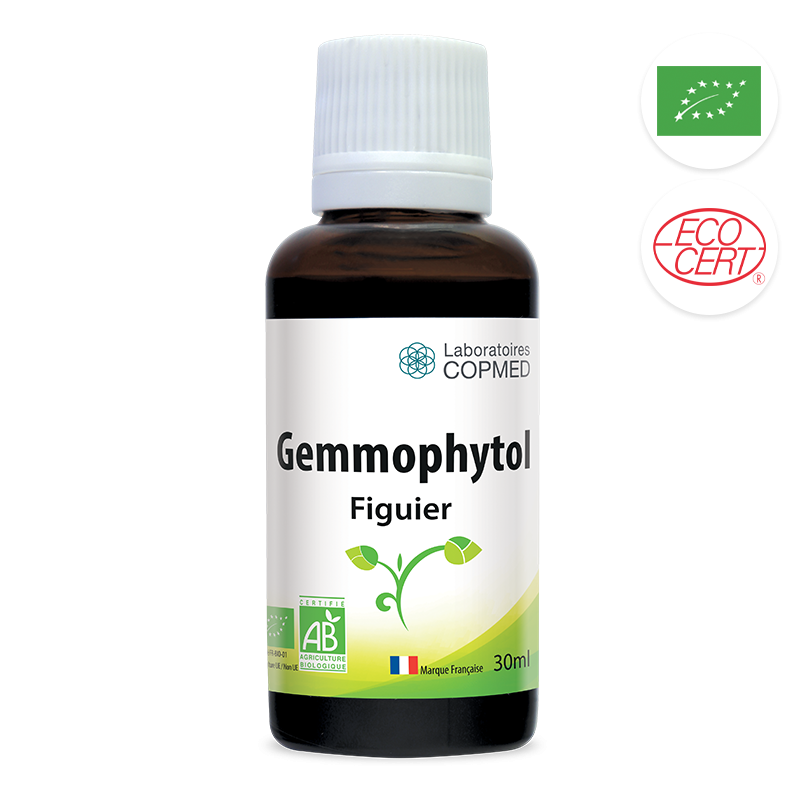 Gemmophytol Figuier