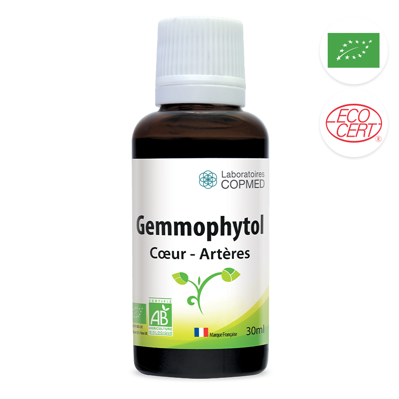 Gemmophytol coeur - artères