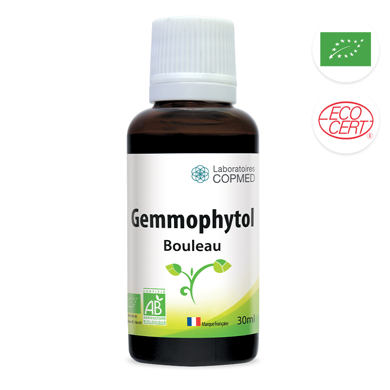 Gemmophytol Bouleau