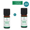 Romarin camphré - Offre zéro gaspi 1+1