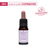 Fleurs de bach n°25 marronnier rouge / red chestnut