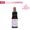 Fleurs de bach n°31 verveine / vervain