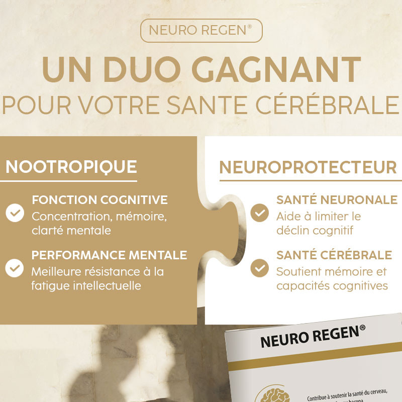 Un duo gagnant : NEURO REGEN® combine une actifs nootropiques et neuroprotecteurs Un duo gagnant : NEURO REGEN® combine une actifs nootropiques et neuroprotecteurs