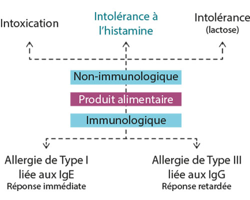 Schéma de l'intolérance à l'histamine