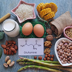 Où trouver la L-Glutamine ?