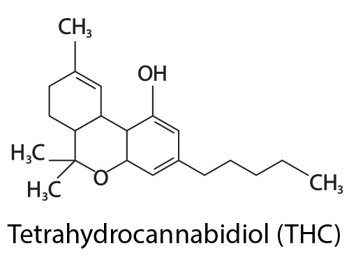 molécule de THC