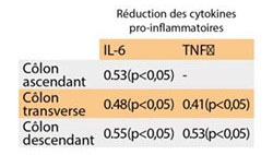 Effets de Fibregum™ sur la réponse inflammatoire chez les sujets souffrant d'IBS