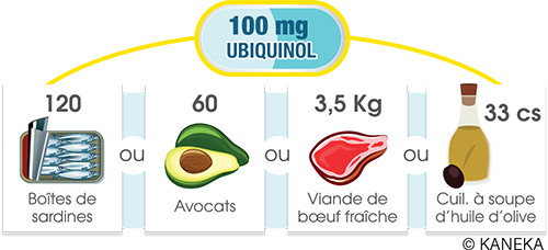 Quelles sont les différentes sources alimentaires de l'Ubiquinol ?