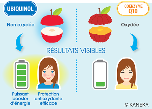 Les Laboratoires COPMED ont choisi l'Ubiquinol KANEKA™, un actif breveté