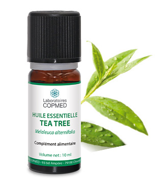 Huile essentielle de tea tree - Laboratoire LPEV