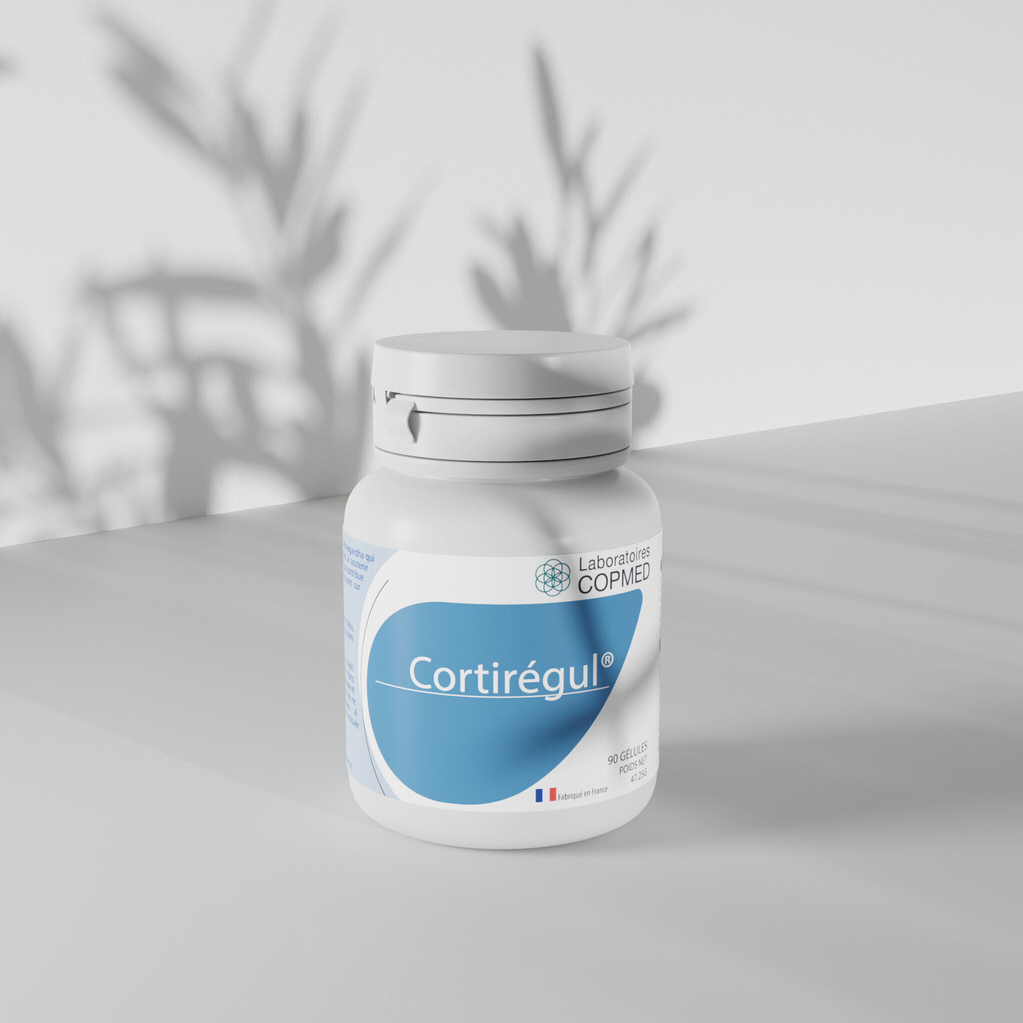 DETOXIL® : pour drainer et nettoyer 