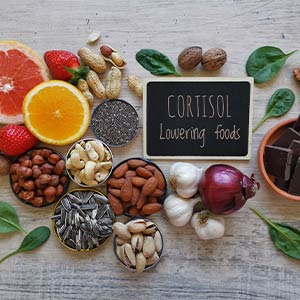 alimentation et cortisol