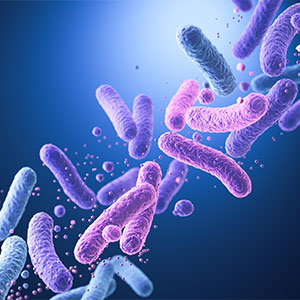 probiotiques