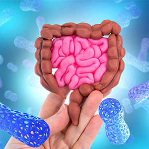 probiotiques