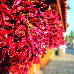 paprika