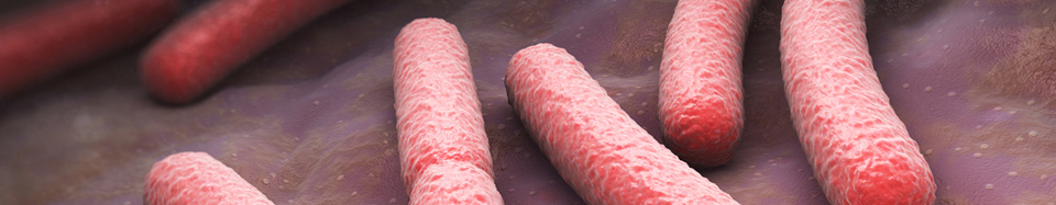 Vaincre naturellement la candidose, cette mycose intestinale