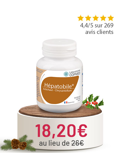 HEPATOBILE® ARTICHAUT - CHRYSANTELLUM
