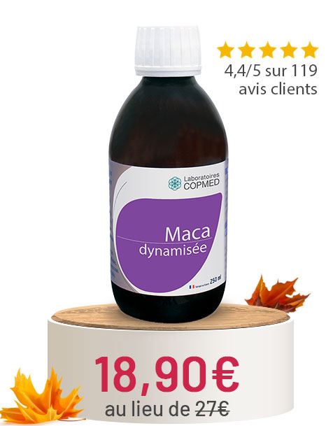 MACA DYNAMISÉE