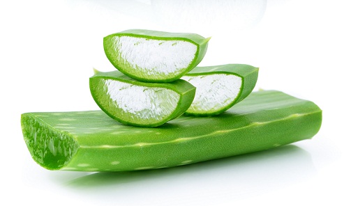 Actif naturel Aloe vera