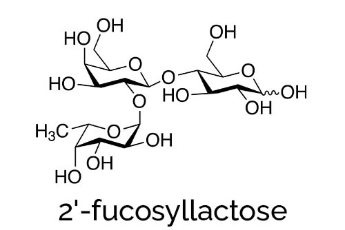 2'-Fucosyllactose