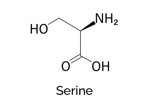 L-Sérine