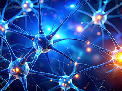 Préserver ses neurones grâce aux neuroprotecteurs