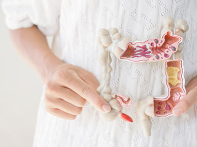 Qu'est-ce que le microbiote intestinal ?