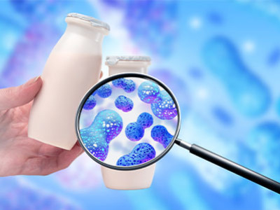 Comment les ferments lactiques enrichissent-ils les probiotiques ?