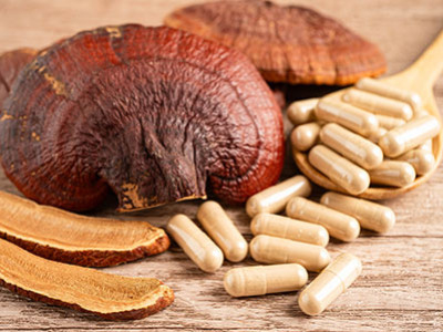 Mycothérapie : quels sont les bienfaits des champignons médicinaux ?