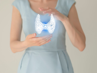 La thyroïde : c’est quoi ? À quoi ça sert ? Comprendre son rôle essentiel