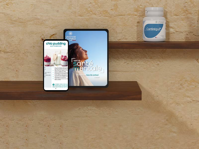 EBOOK : OBJECTIF SANTÉ MENTALE